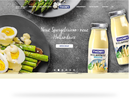 Screenshot der Website von Thomy.ch