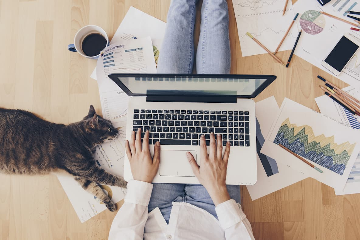 Person working on a laptop with cat lying by