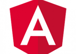 Angular JS