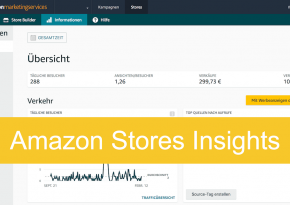 Amazon Store Insights